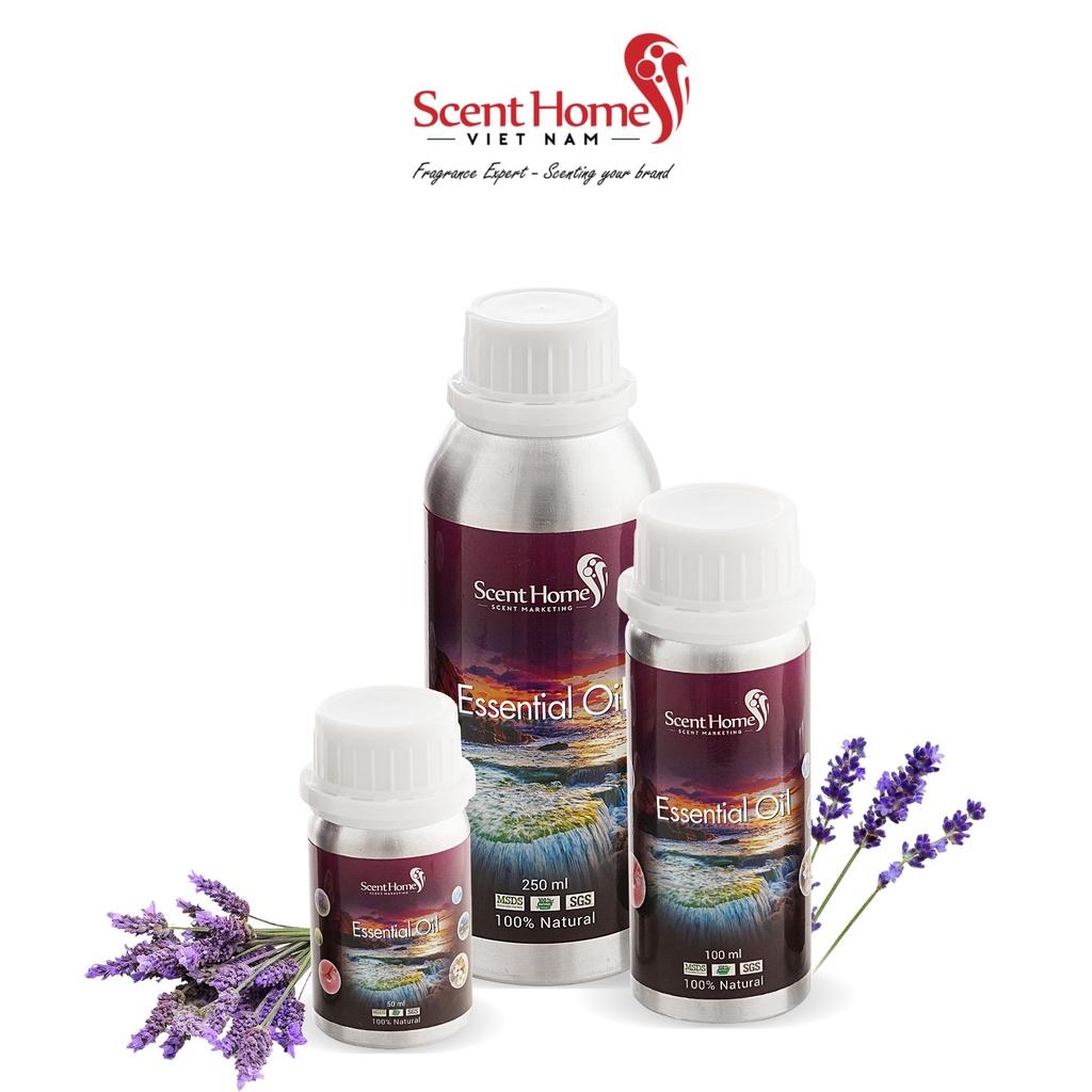 Tinh dầu Scent Homes - mùi hương