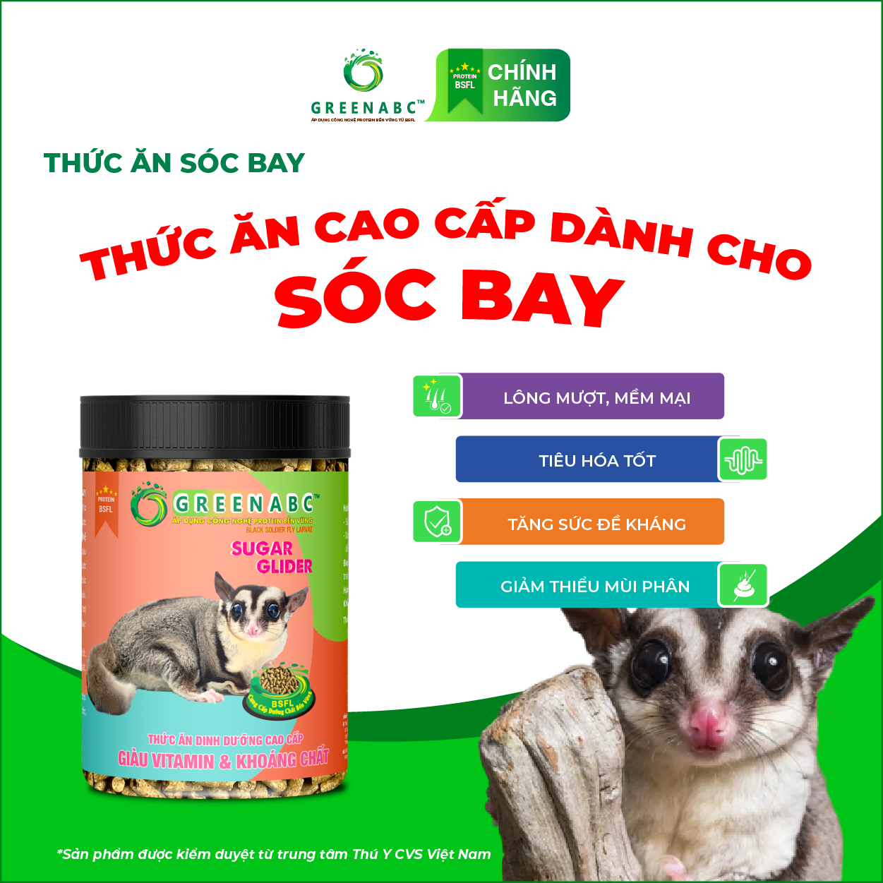 Thức ăn Sóc Bay & Sóc Cảnh GREENABC – Cung cấp đầy đủ dưỡng chất Protein - Canxi - Lipid năng lượng dồi dào, cơ thể linh hoạt dẻo dai – Hộp 480g