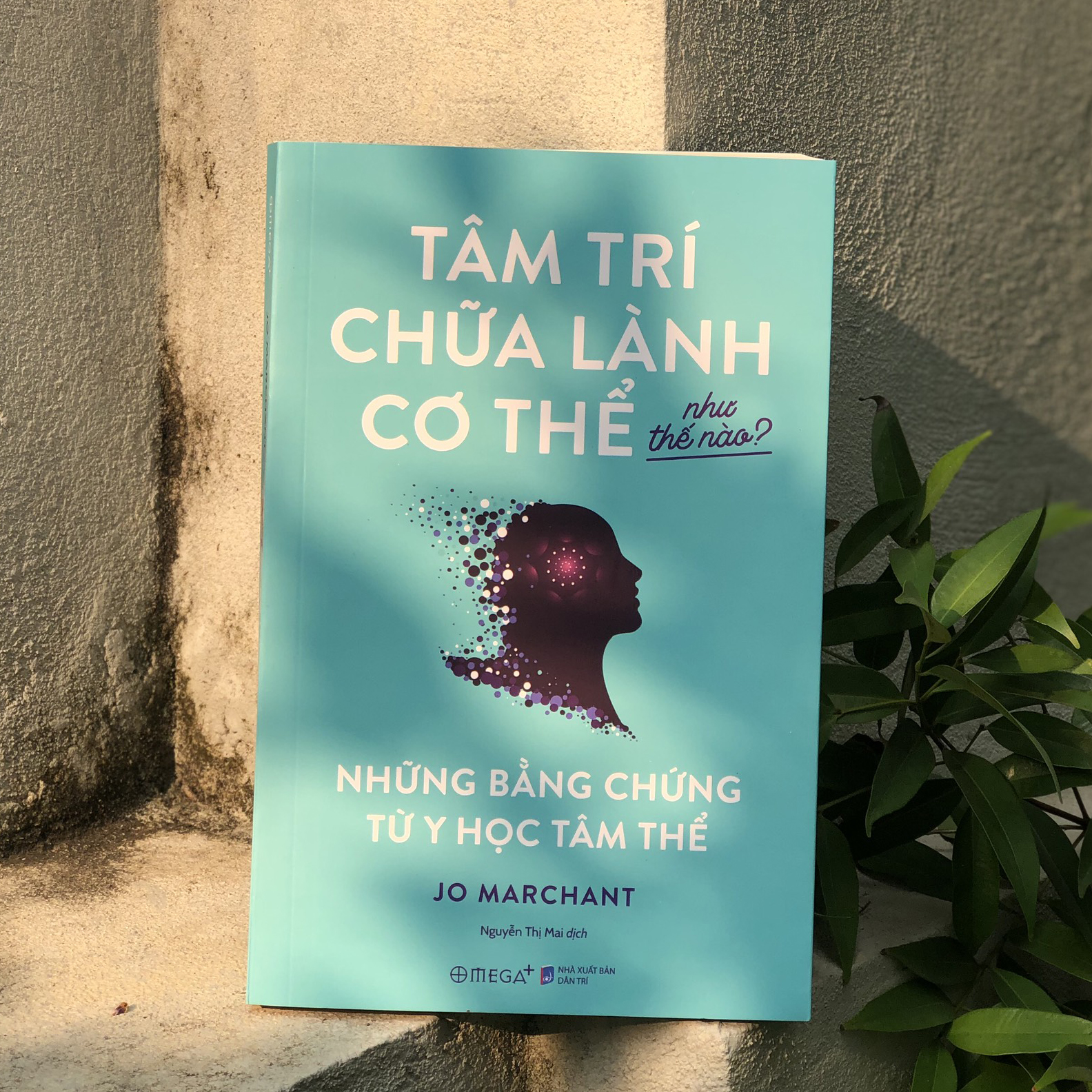 Trạm Đọc | Tâm Trí Chữa Lành Cơ Thể Như Thế Nào? - Những Bằng Chứng Từ Y Học Tâm Thể