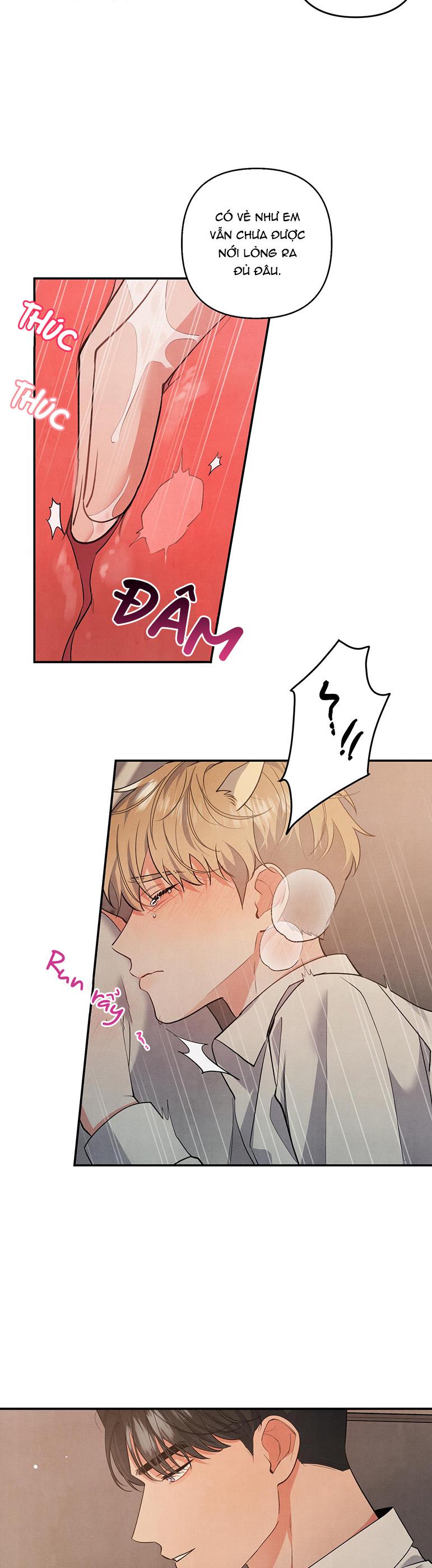 mối quan hệ ngu ngốc chapter 62 7