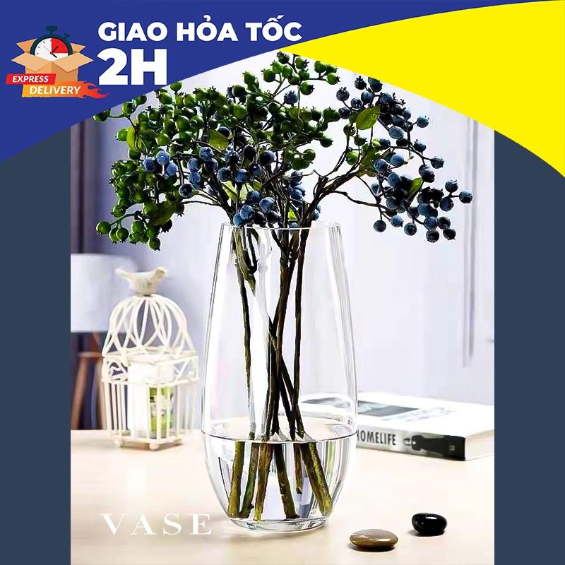 Bình Thủy Tinh Trong Trụ Tròn - Bình Bầu Basic - Cắm Hoa