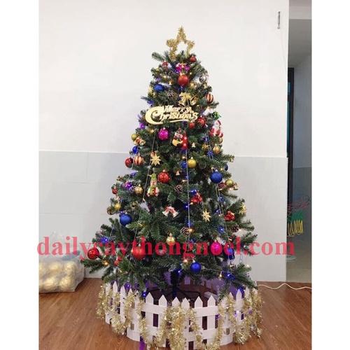 Cây thông noel 3 loại lá gắn trái đỏ cao 2m - Cây đẹp tán dày