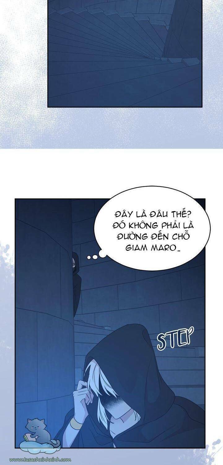 tôi chọn kết thúc của hoàng đế chapter 102 41