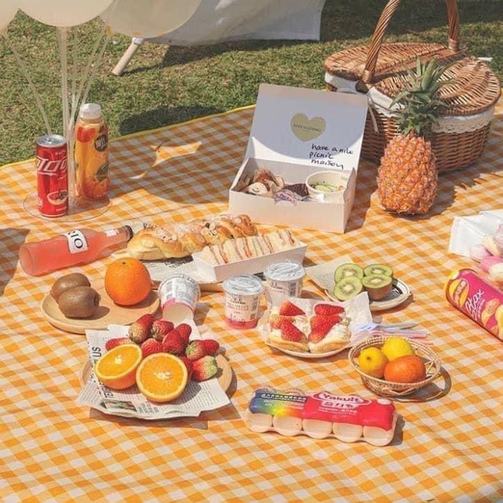 Thảm du lịch, thảm trải đi picnic, dã ngoại. Thảm chống bẩn, chống rách, vải xốp dày dặn