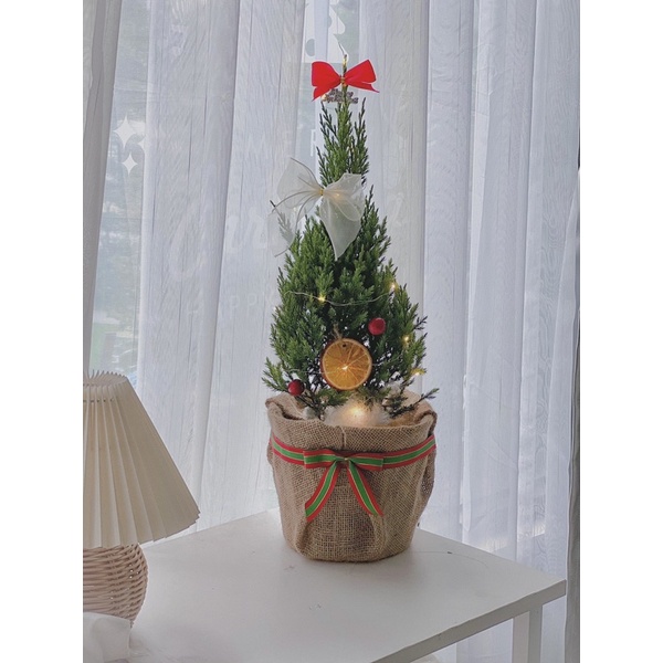 Cây tùng trang trí sẵn cho noel