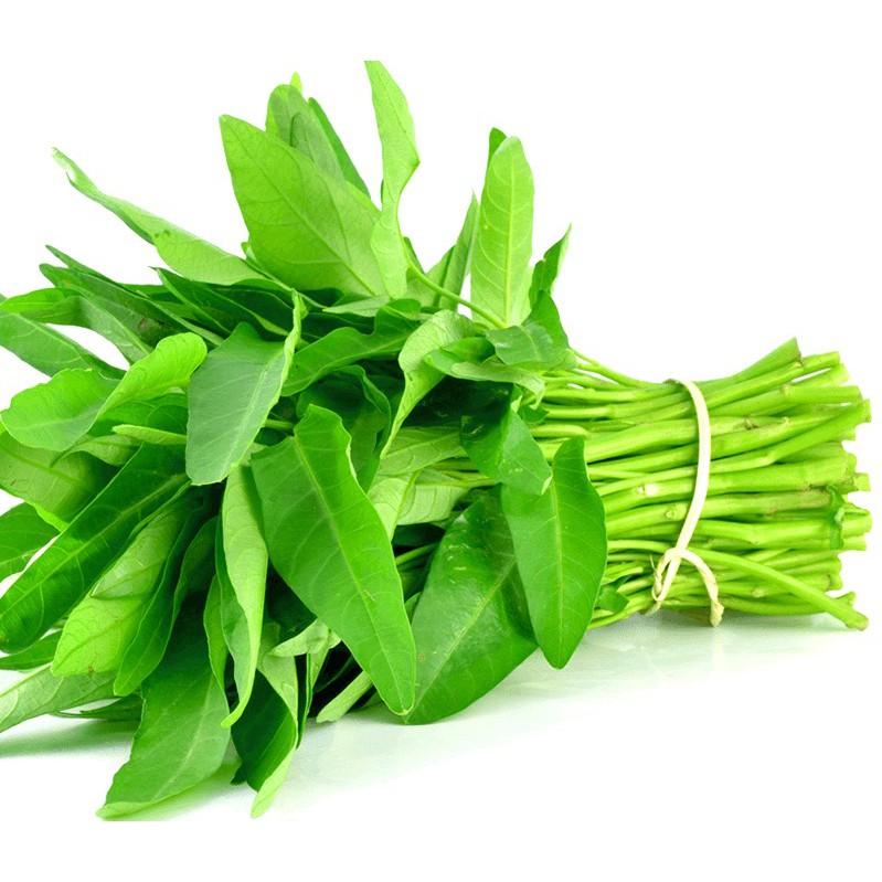 Hạt giống Rau Muống hoạch sớm, dễ trồng, nảy mầm cao
