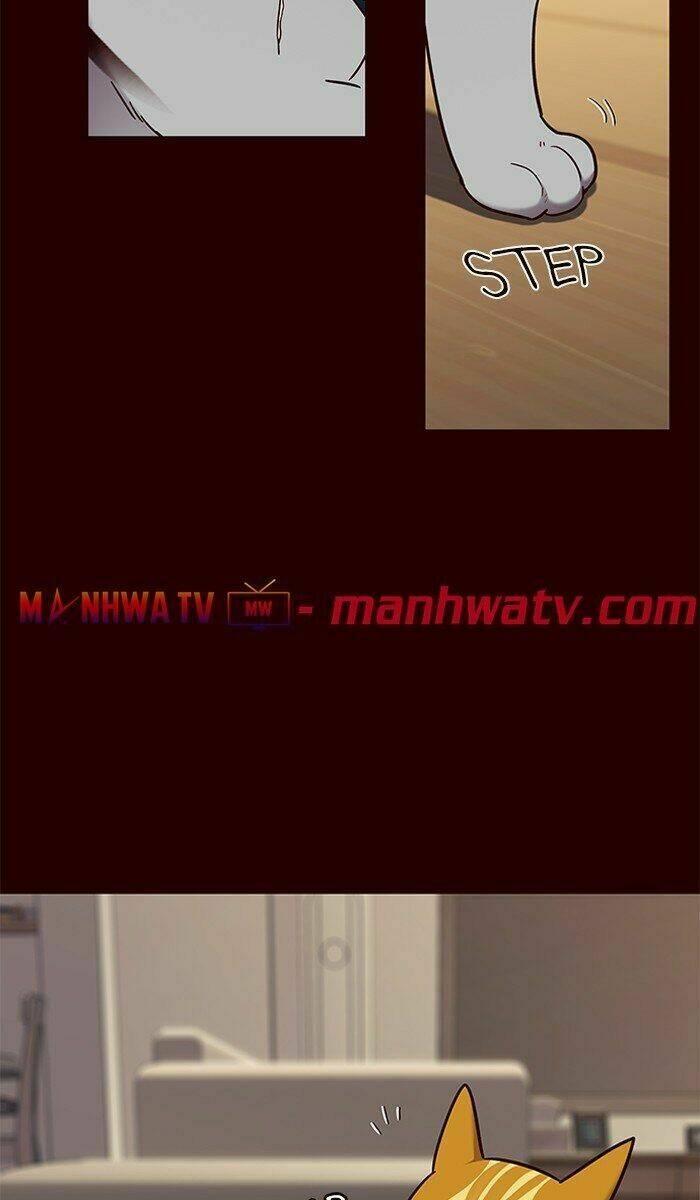 biến thân thành mèo chapter 67 43