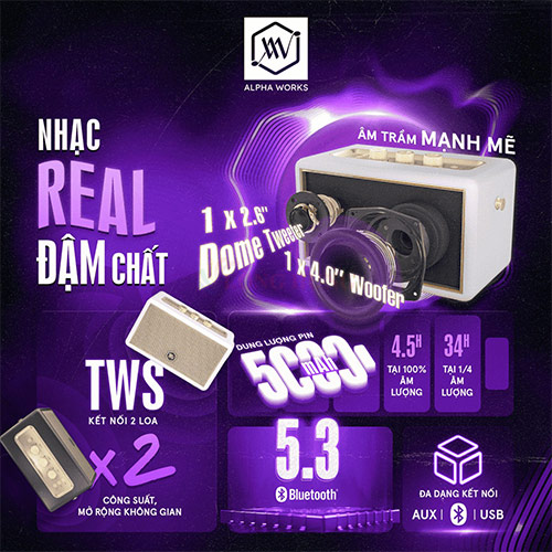 Loa Bluetooth Alpha Works AW-W88 - Hàng chính hãng