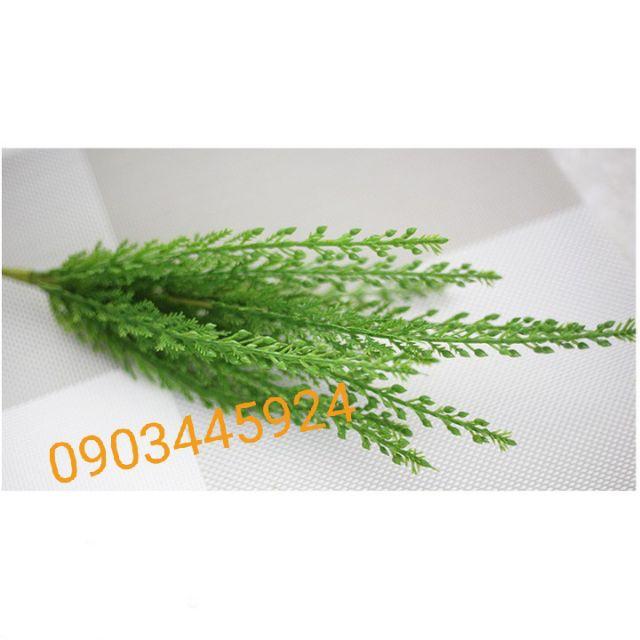 Cành điểm thông dày dặn loại 1- cây giả
