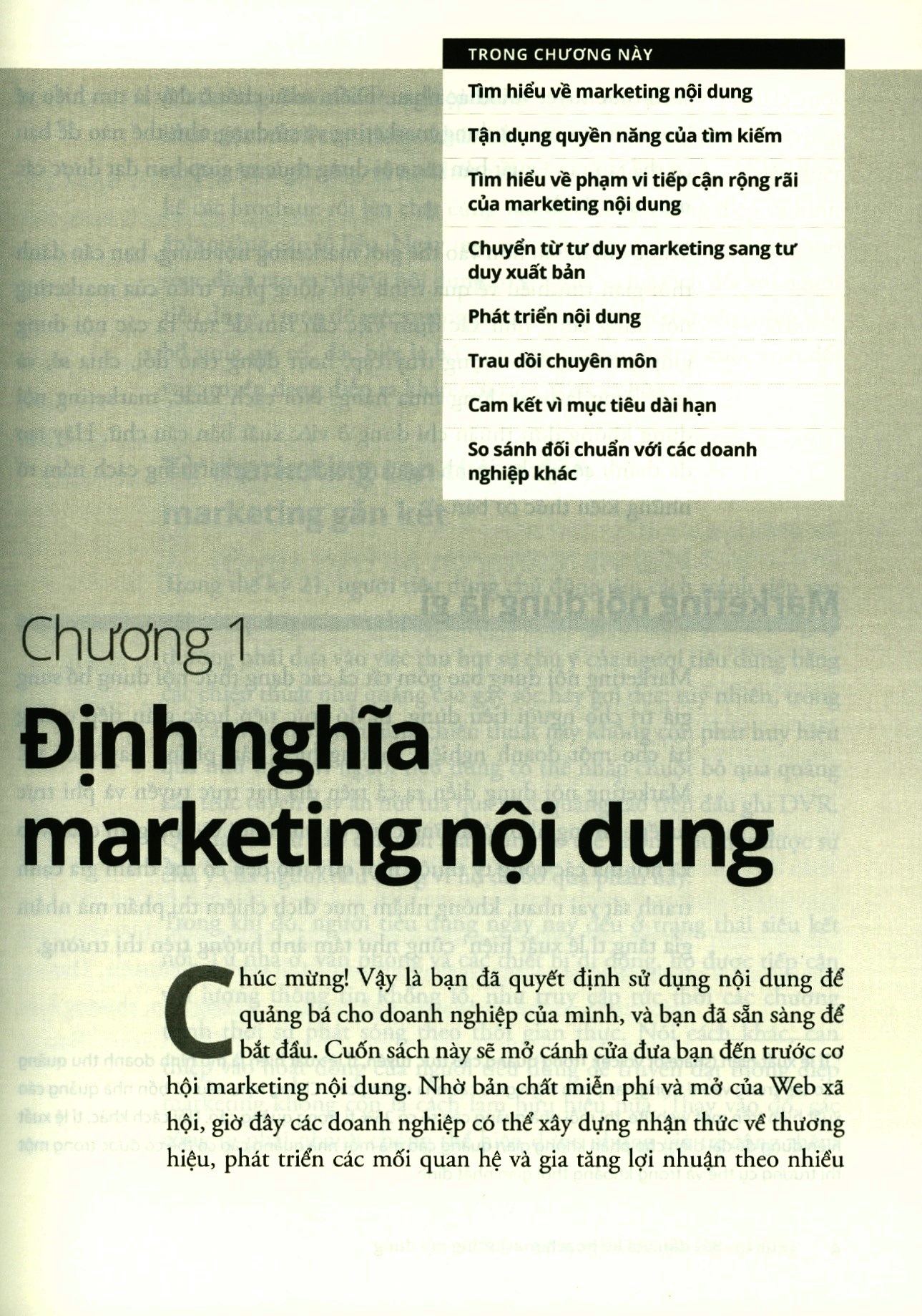 Content Marketing For Dummies (Bìa mềm)