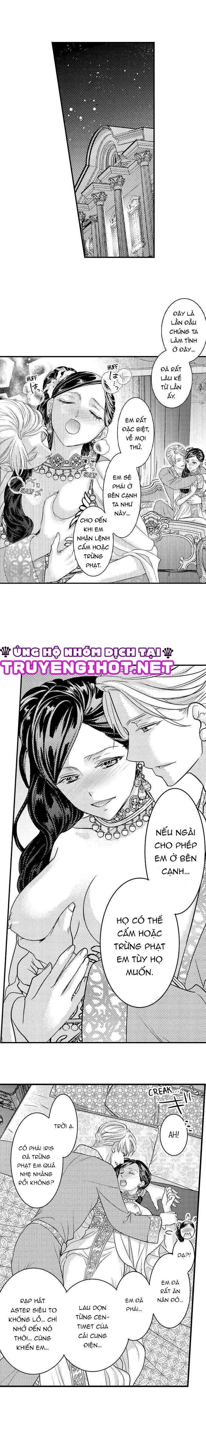 chuyển sinh vào thế giới khác ~ nếu muốn trở thành nữ hoàng hãy tìm cách để được hoàng đế sủng ái vào ban đêm chapter 32.1 3