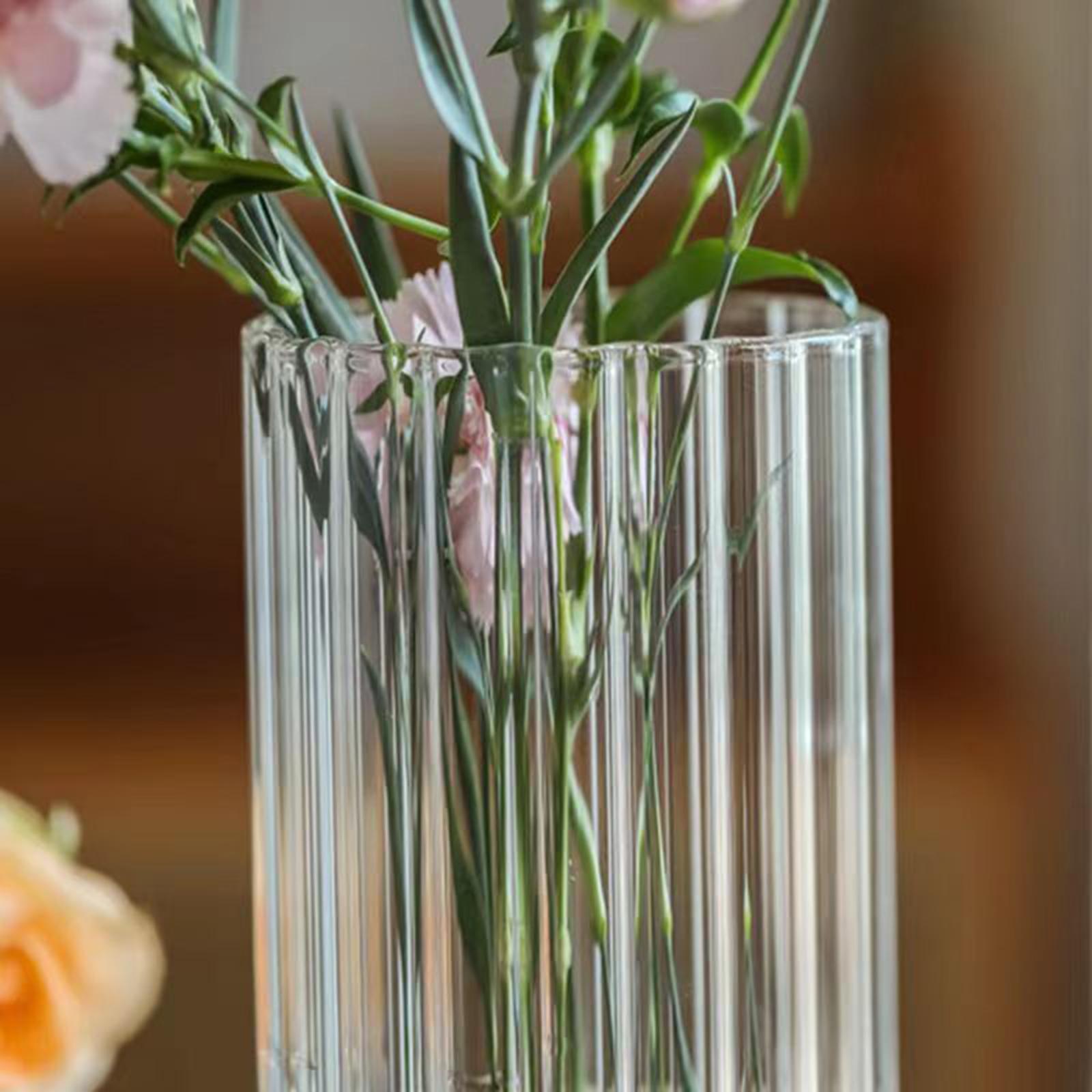 Glass Vases Glass Flower Vase Aesthetic Flowers Holder Dried Flower Container Vase Terrarium Plant Holder for Dining Room Desktop
