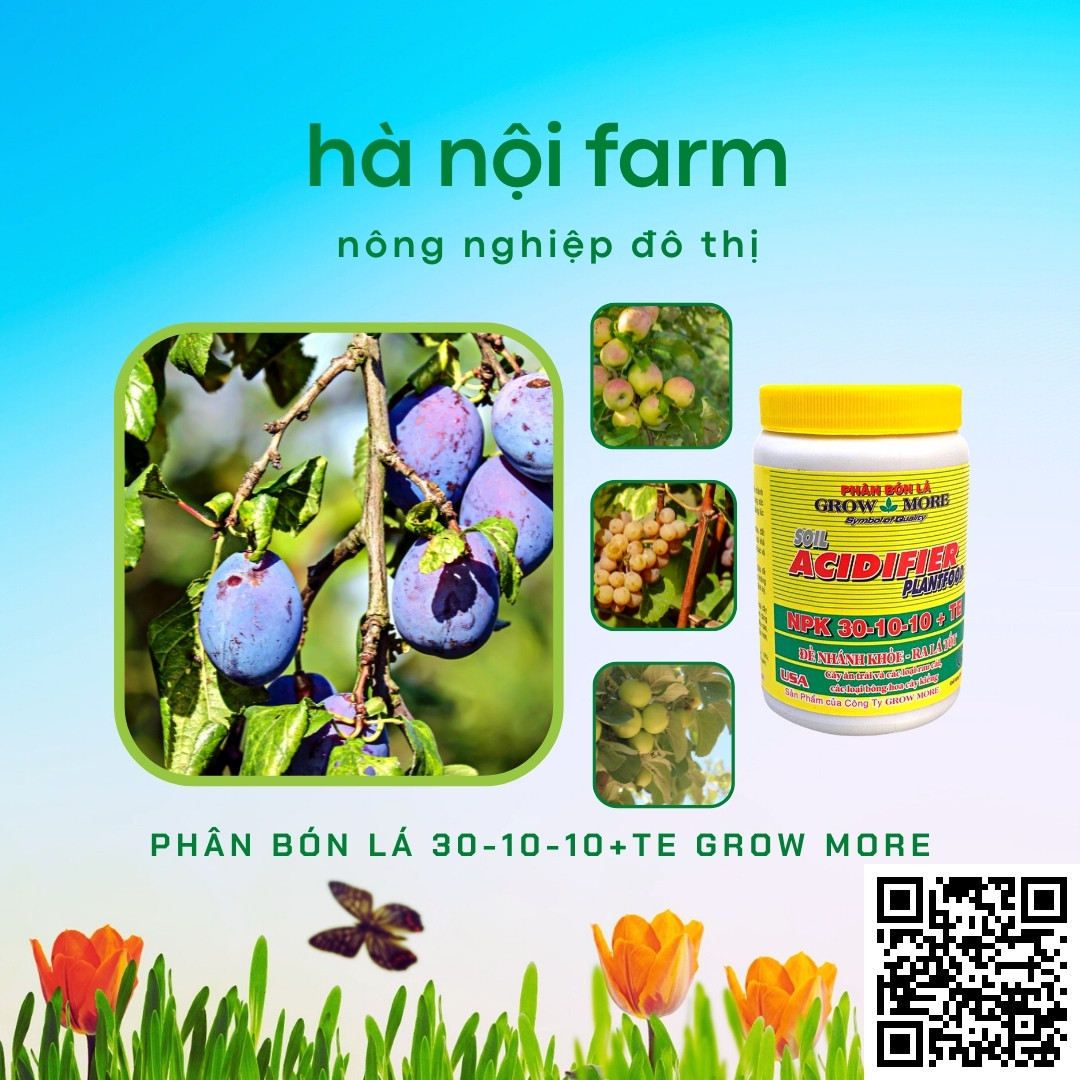 Phân bón lá 30-10-10 Grow More - Hũ 100g