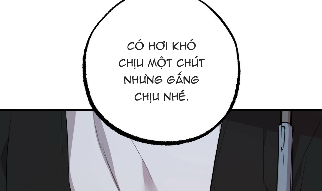 đàn thỏ của habibi chapter 35 29