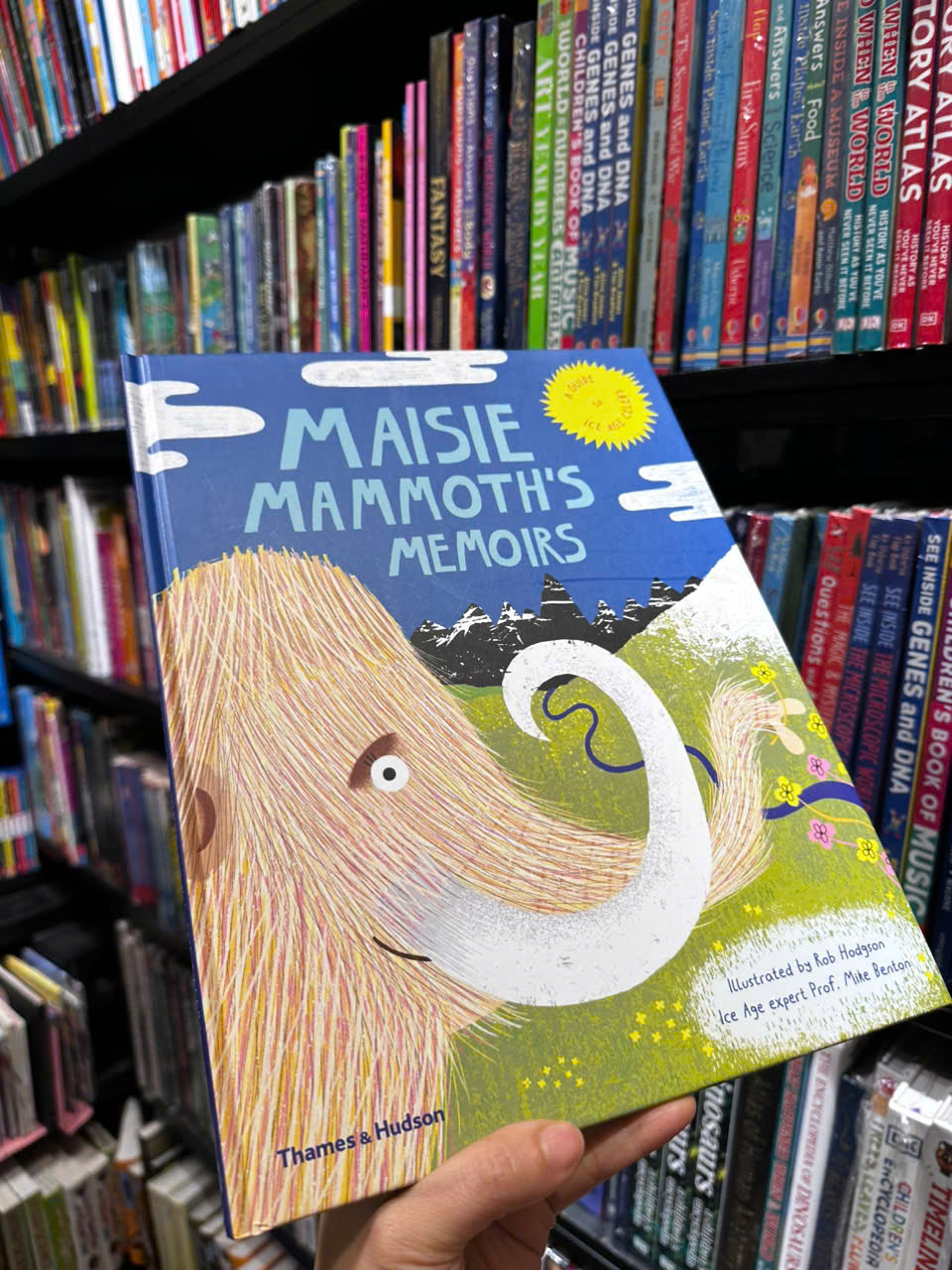 Sách - Maisie Mammoth's Memoirs by Rob Hodgson - Sách ngoại văn, sách thiếu nhi tiếng Anh, bìa cứng, nhập khẩu UK