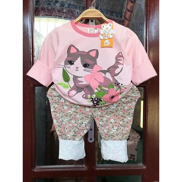 Bộ dài tay xuất Hàn cho bé từ 8-15kg bảng màu 2
