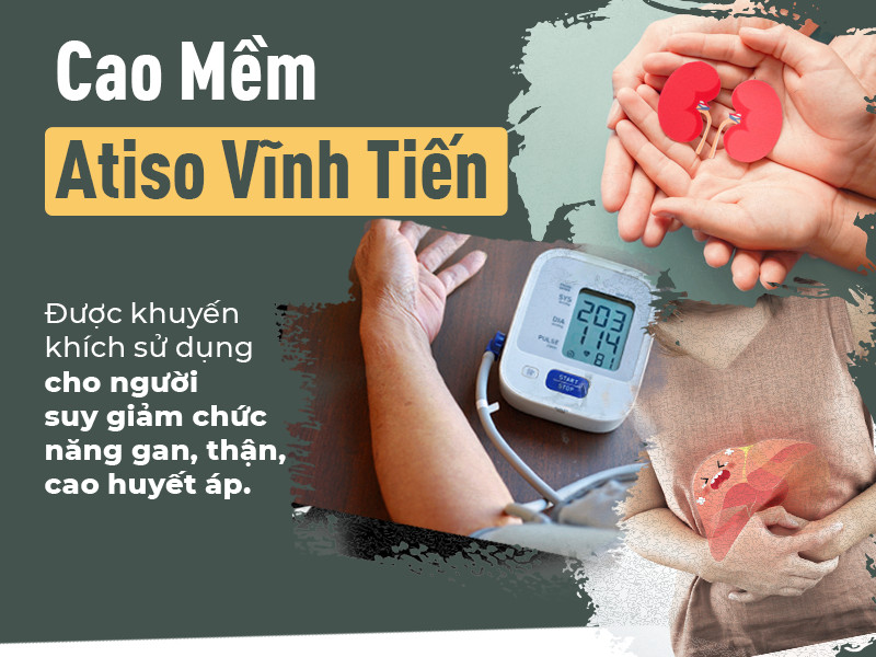 Cao Mềm Atiso Đà Lạt Vĩnh Tiến - Giải độc gan, thanh lọc cơ thể.