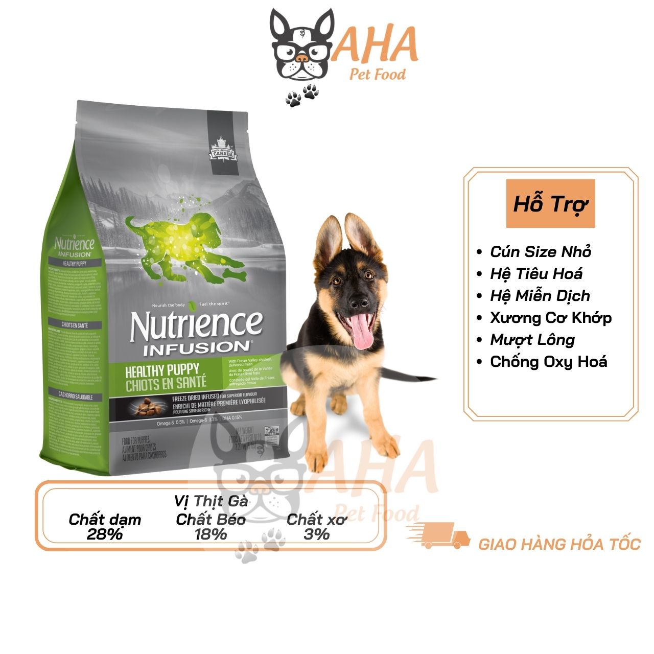 Thức Ăn Hạt Cho Chó Becgie Nutrience Subzero Bao 5kg Thức Ăn Cho Chó thịt gà tây cá hồi rau củ trái cây