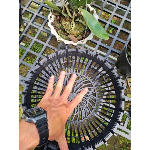 Chậu nhựa nan phụ trồng lan 30cm