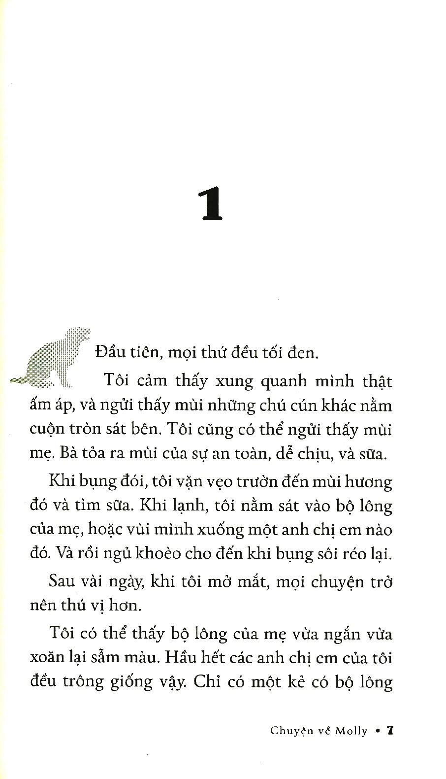 Chuyện Về Molly