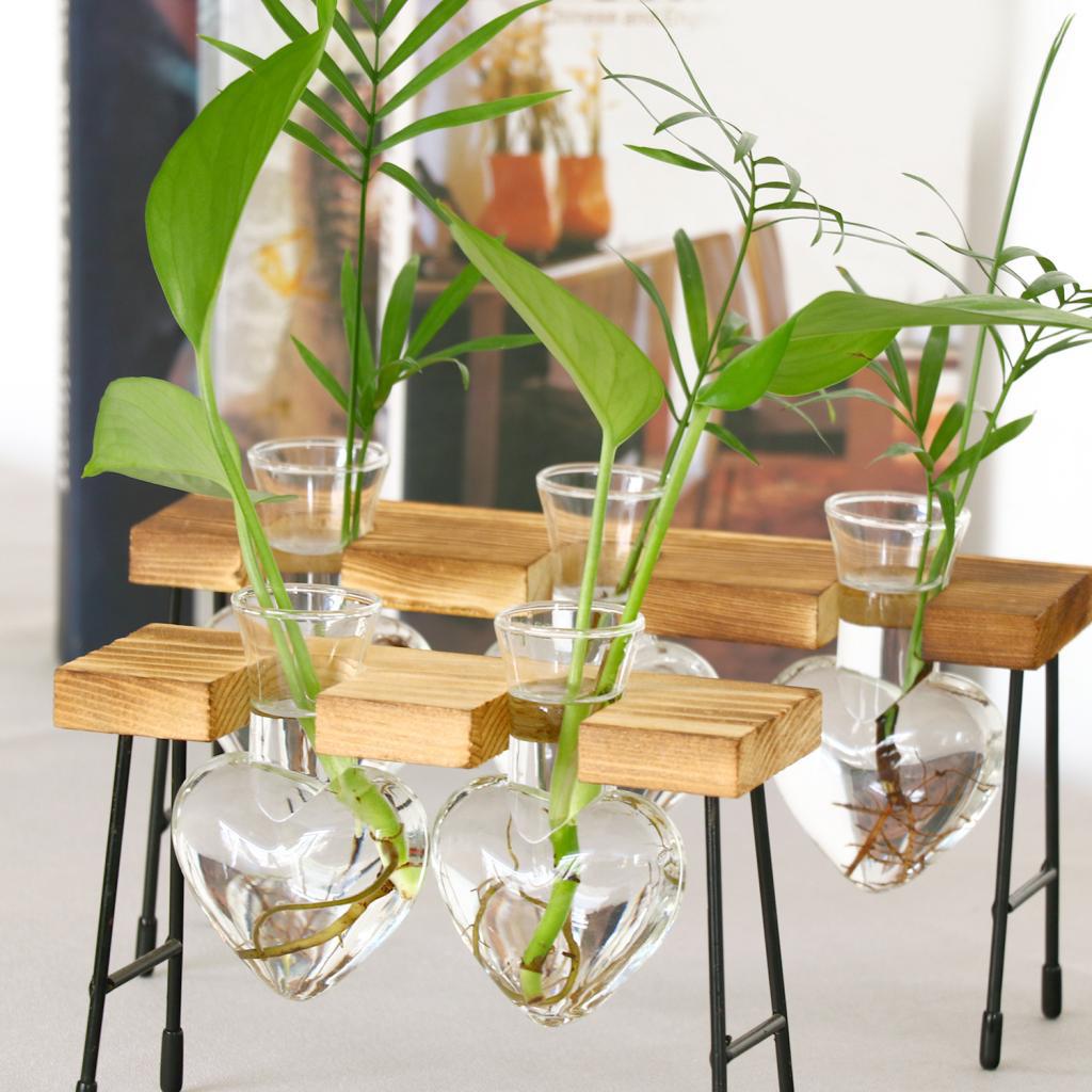 Test Tube Flower Bud Vase Planter Decorative Terrariumin for Office Cafe-2