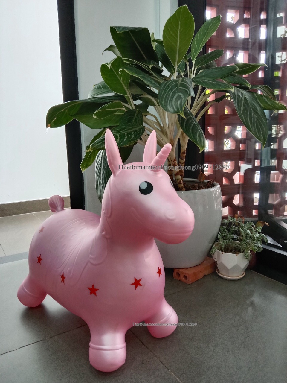 THÚ NHÚN CHO BÉ NGỰA