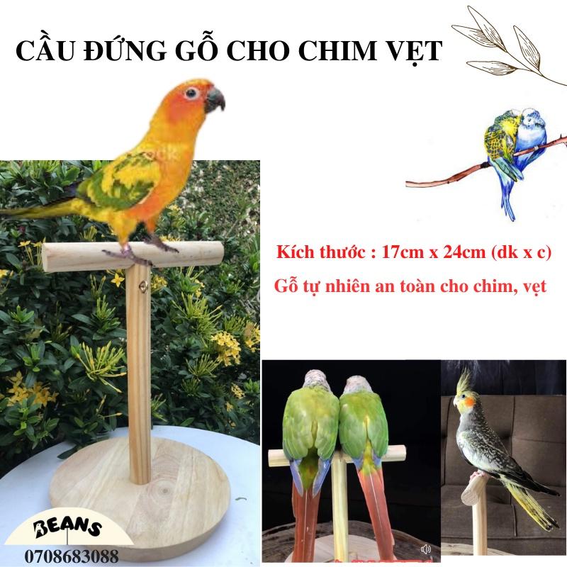 Cầu đứng gỗ cho chim, vẹt 17x24cm