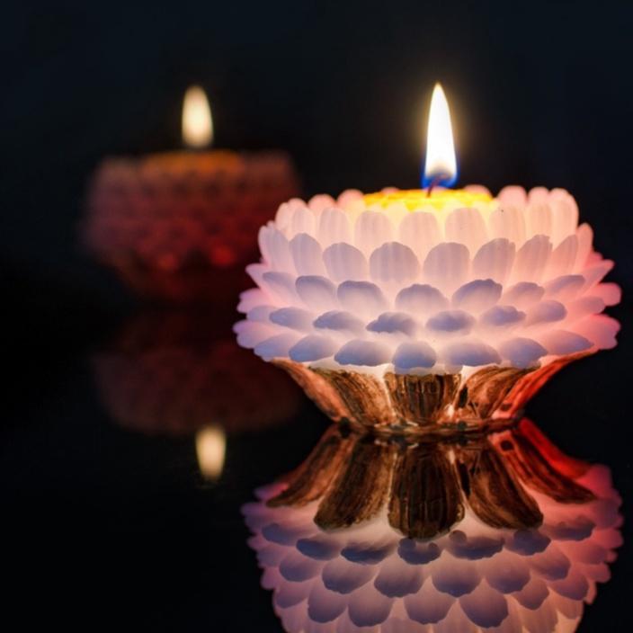 Nến hoa cúc có đèn led - nến hoa cúc đổi màu - đèn cầy hoa cúc thờ phật - nến trang trí bông cúc candle s