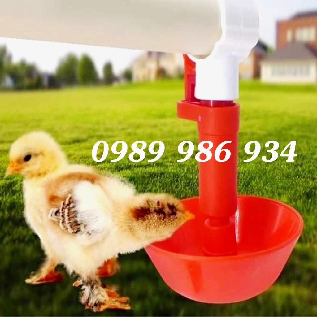 Máng uống tự động cho gà, chim hàng chất gá tốt hiệu quả