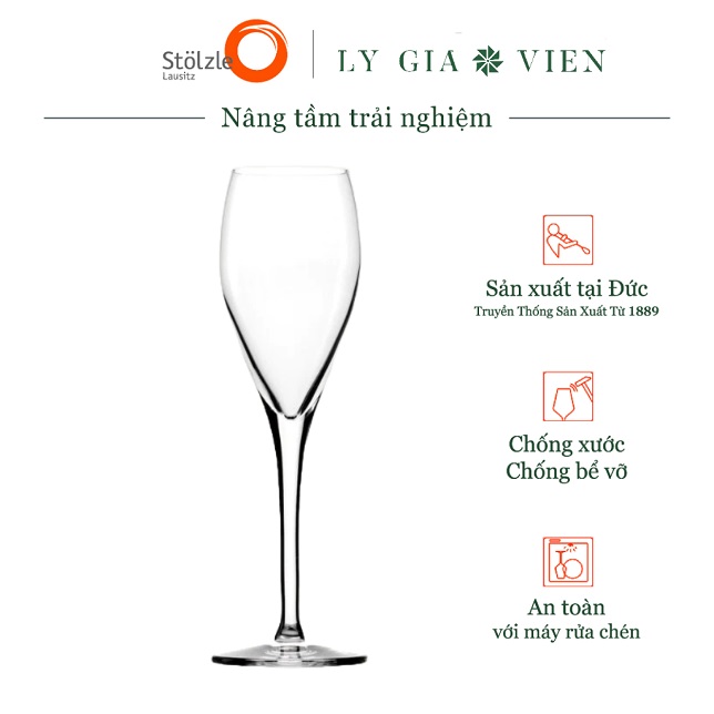 Ly Pha Lê Uống Champagne Stoelzle Champagne Glass 145ml - Chất Lượng Tuyệt Hảo, Thiết Kế Thanh Lịch - Thích Hợp Với Bất Kỳ Loại Champagne Hay Cocktail Nào