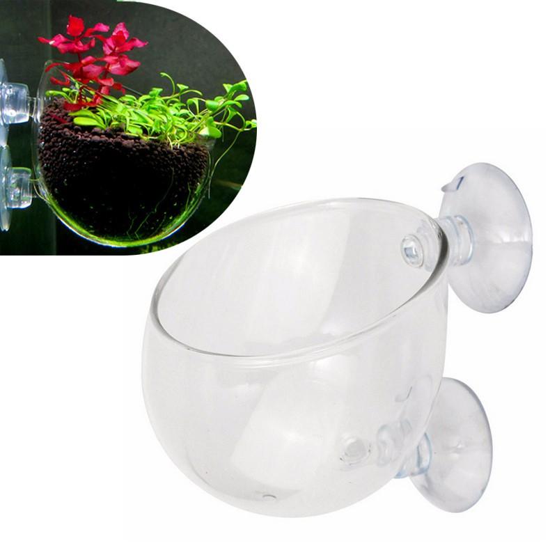 CỐC THỦY SINH GẮN THÀNH BỂ TRỒNG CÂY TRANG TRÍ TRONG BỂ CÁ CẢNH 70X65MM