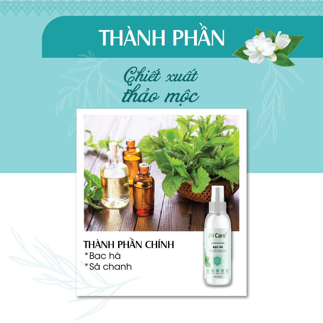 Combo 2 Tinh dầu Xịt phòng Bưởi Úc + Bạc Hà Cơ Organic 24Care 100ML/Chai