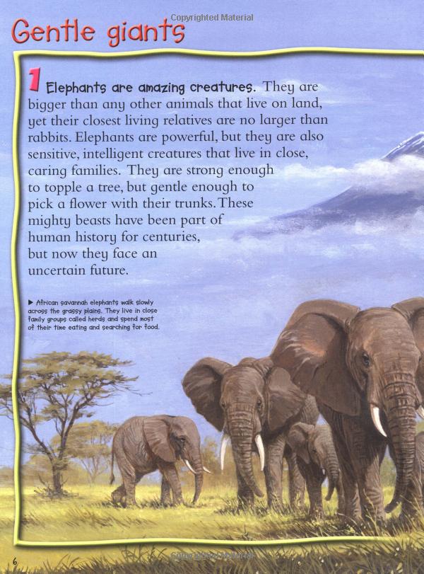 Elephants (100 Facts)