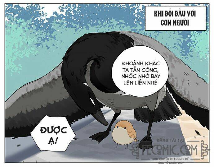chim sẻ gọi ngỗng trời chapter 17 3
