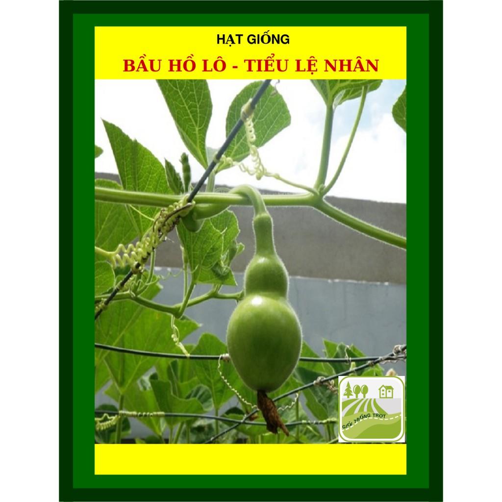 Hạt Giống Bầu Hồ Lô 10 hạt