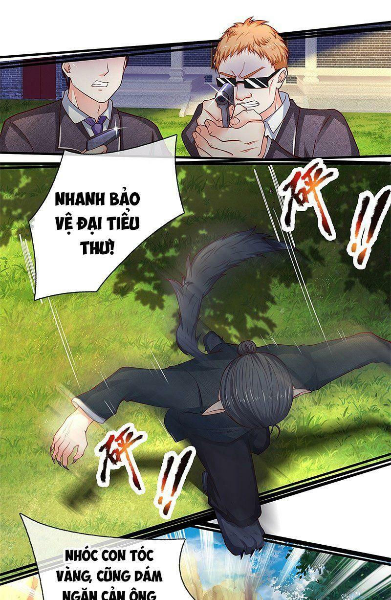 vú em tiên tôn đi ở rể chapter 149 7