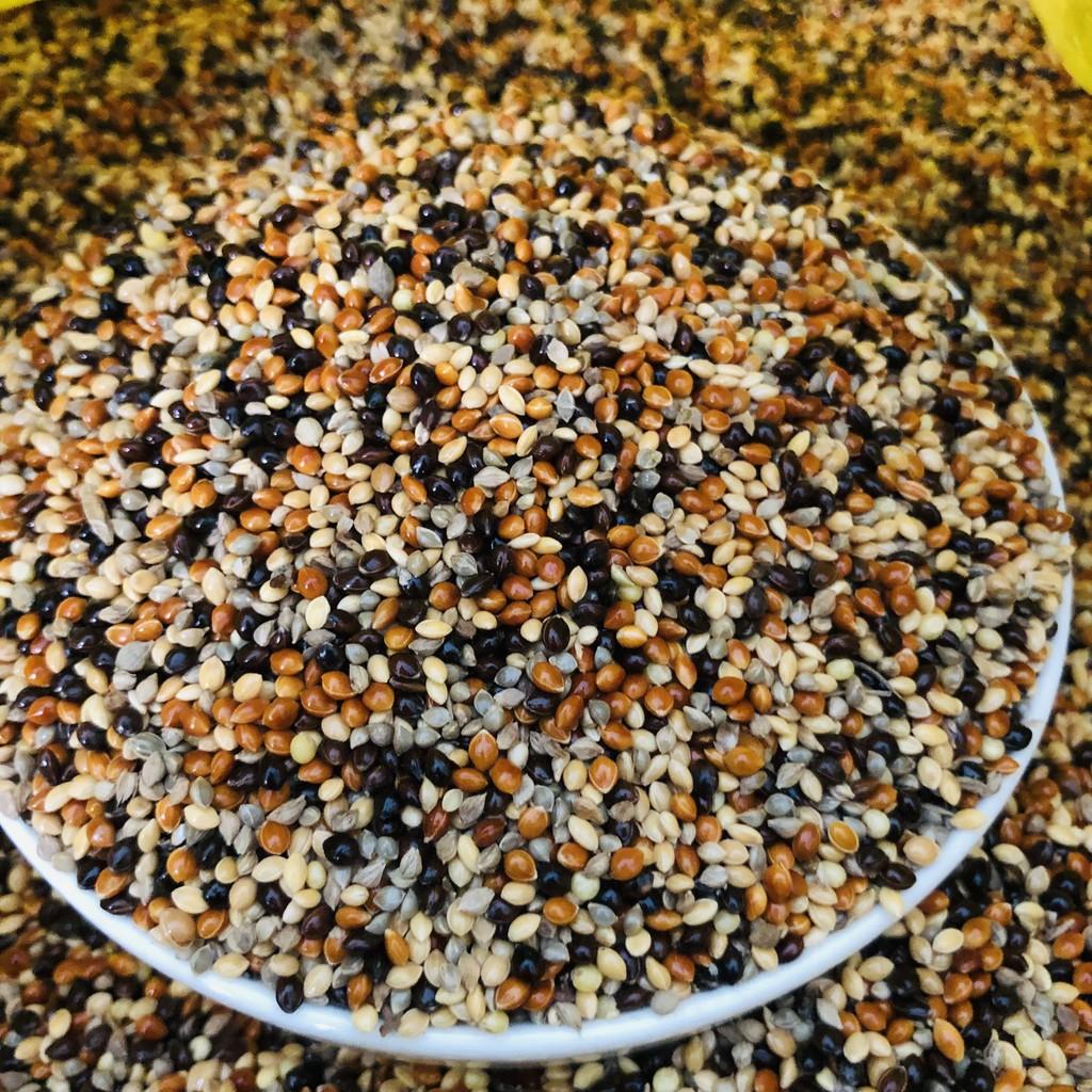 Thức ăn cỏ thái ngũ sắc chim cu gáy, 500gram hạt kê trộn dành cho Yến Phụng, Finch, 7 màu, Manh Manh