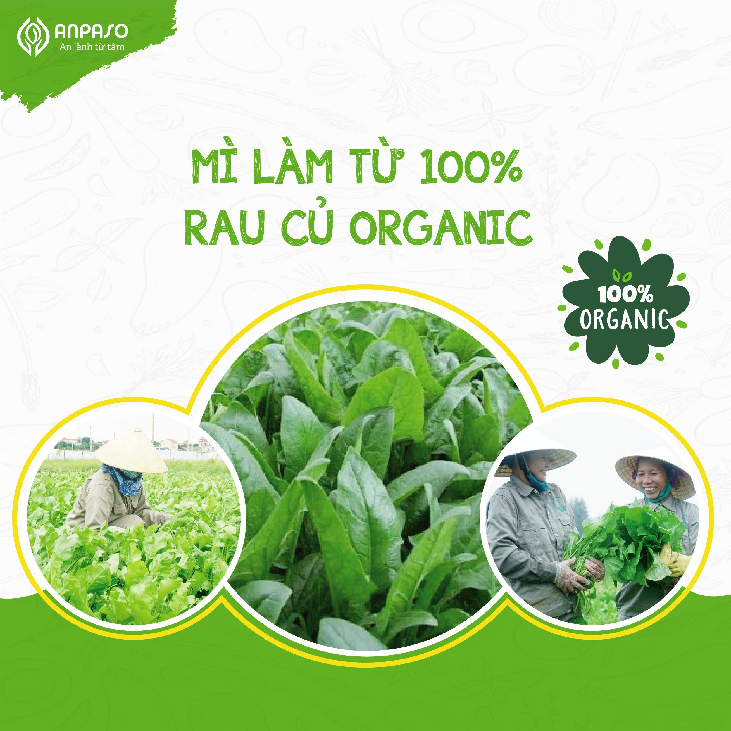 Mì Rau Củ Sâm Cát Organic Anpaso 120g