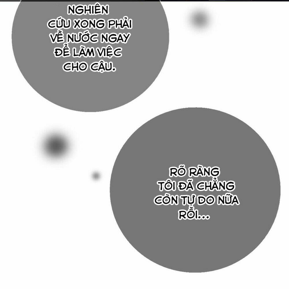 cô gái đặc biệt nhất của tôi chapter 40 5