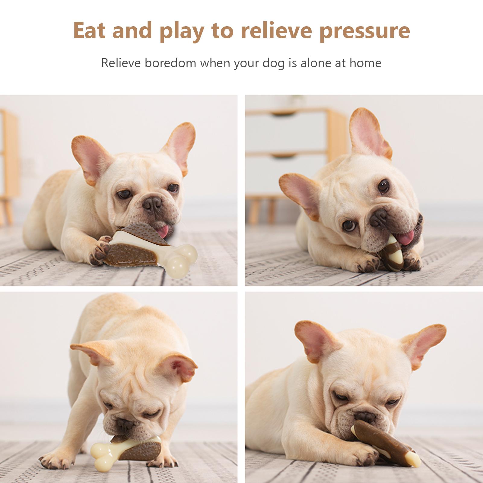 3 cái bàn chải đánh răng dành cho thú cưng