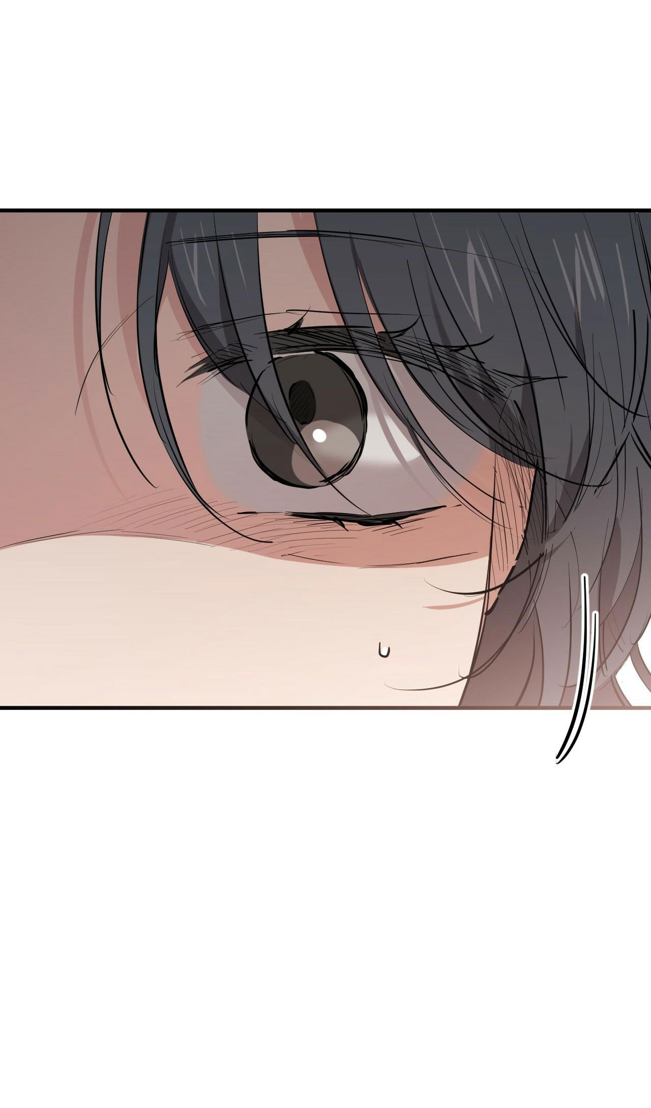 những chú thỏ của hapypy chapter 36 39