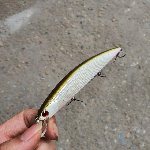 Mồi giả câu cá chẽm, hồng Minnow Kingdom 3523