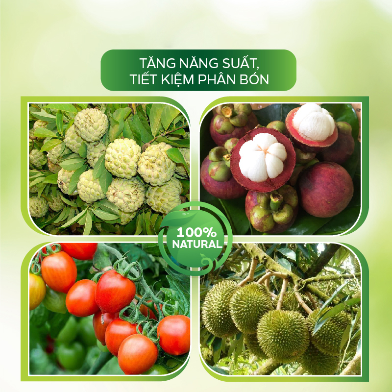 Chế Phẩm Sinh Học AT Bung Rễ Cực Mạnh, Cải Tạo Đất, Phục Hồi Nhanh, Nâng pH Đất, Tiết Kiệm Phân- AT Nutri 555 5 Lít