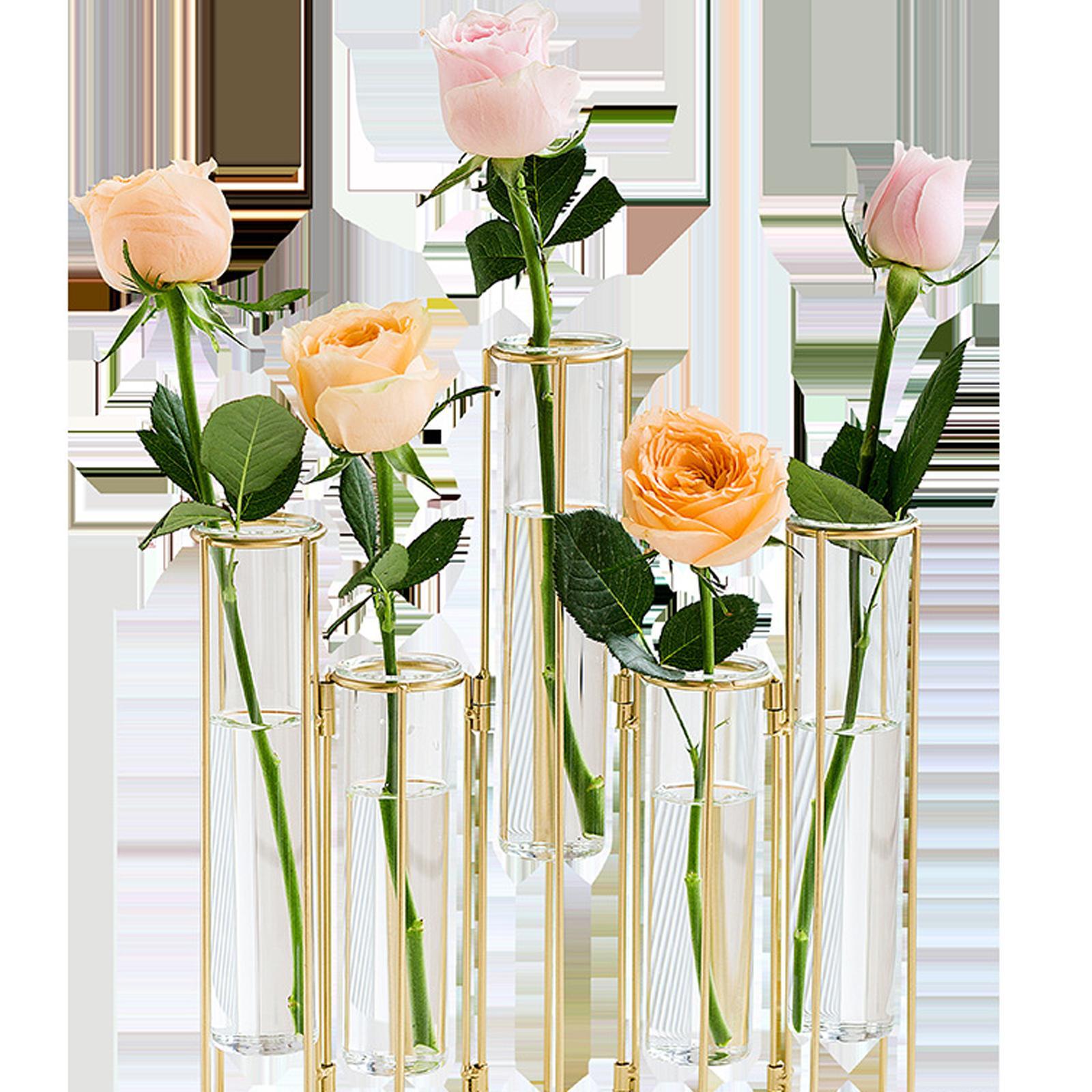 Hinged Flower Vase Test Tube Flower Vase  Test Tube Vase Decor