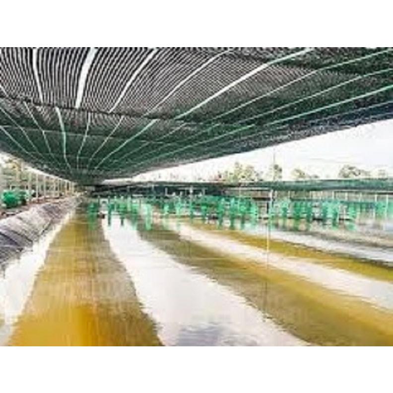 Lưới Che Nắng Thái Lan 70%
