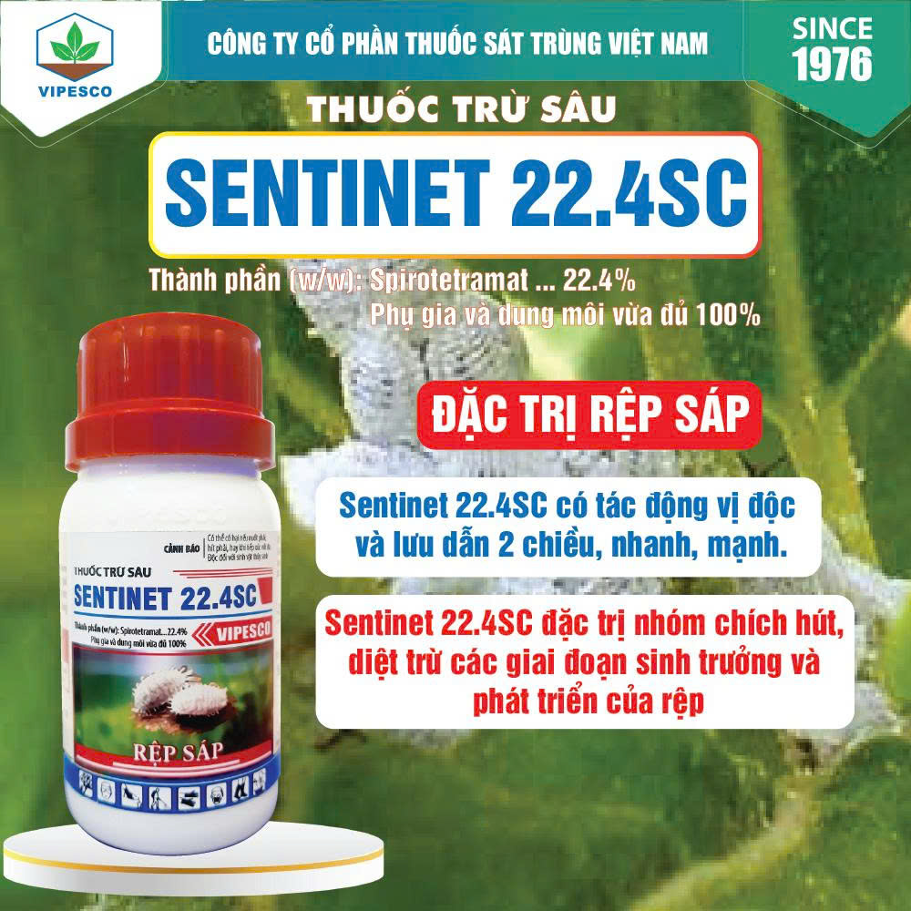 SENTINET 22.4SC-100CC PET - ĐẶC TRỊ RỆP SÁP