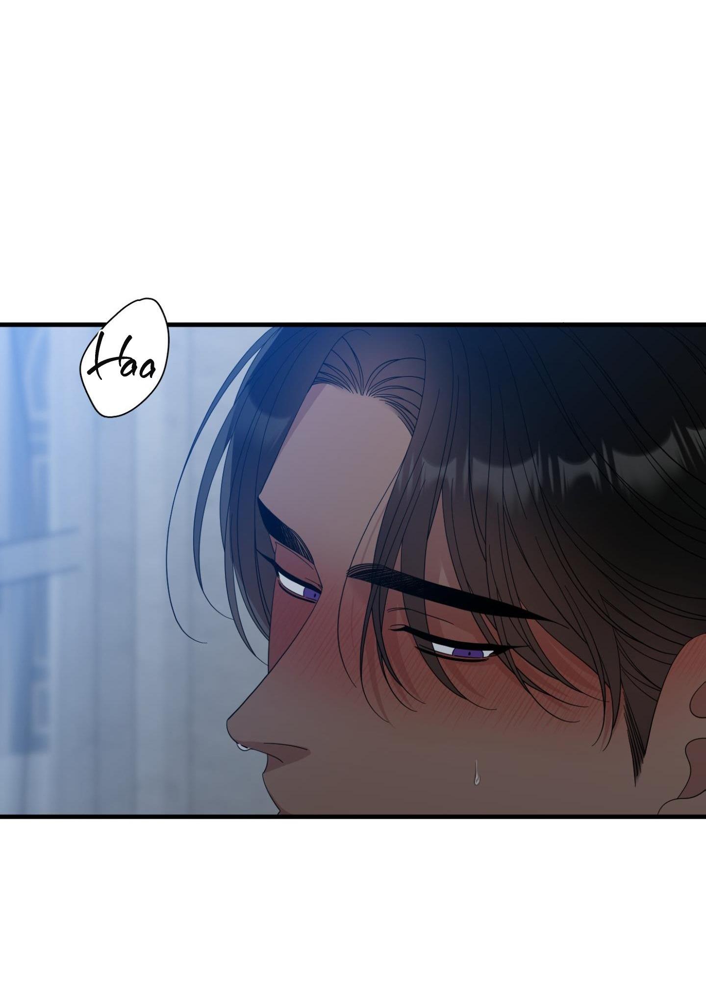 smyrna và capri chapter 44 12