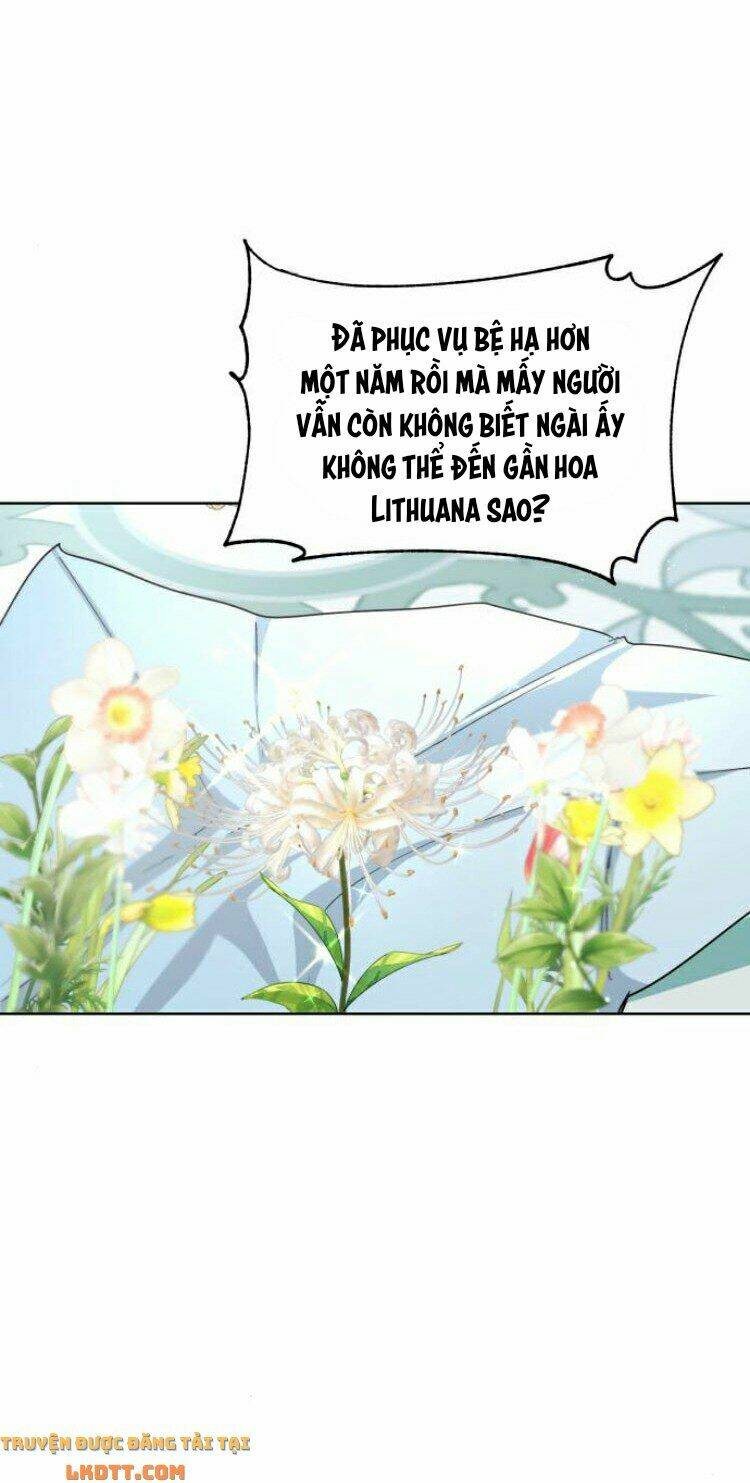 ta đã từng mong nàng biến mất chapter 21 8