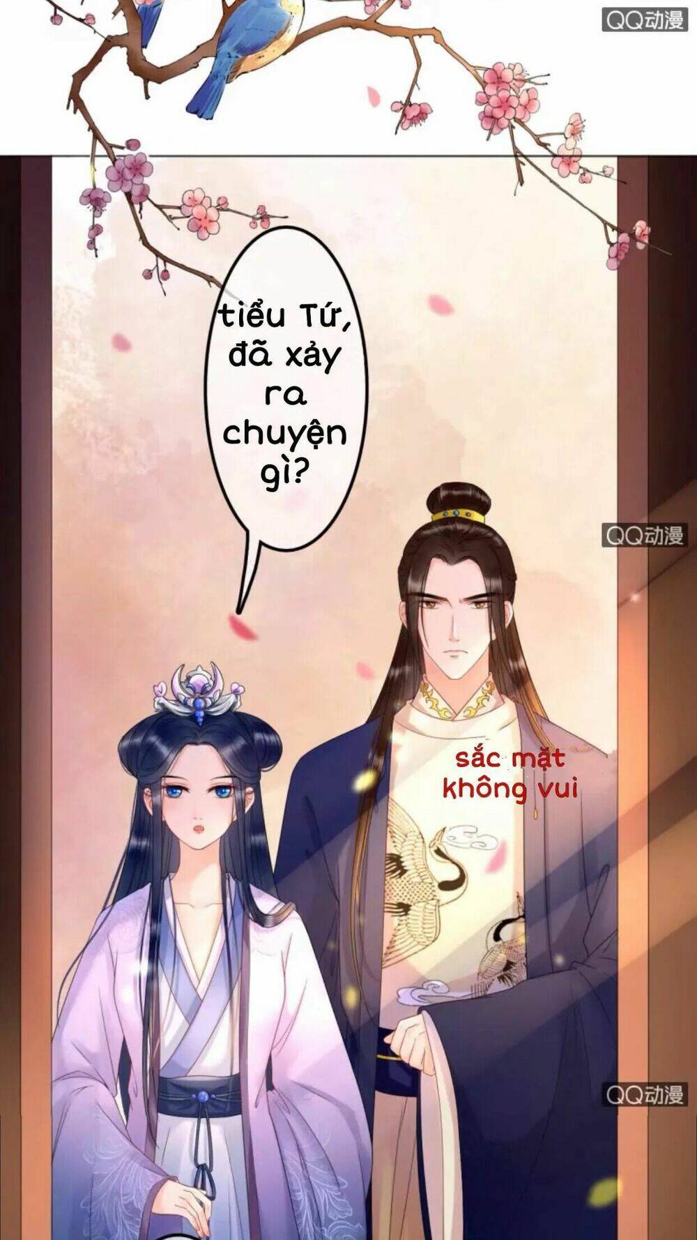 sủng phi của vương chapter 31 2