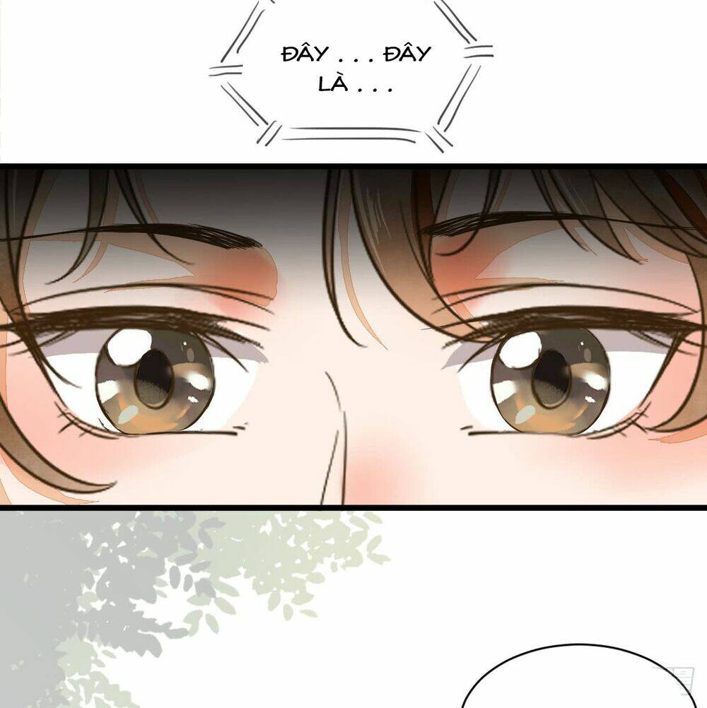 sát thủ vương phi không dễ chọc chapter 4.5 27